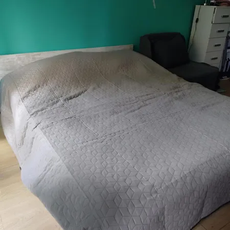 Apartament Sunny *