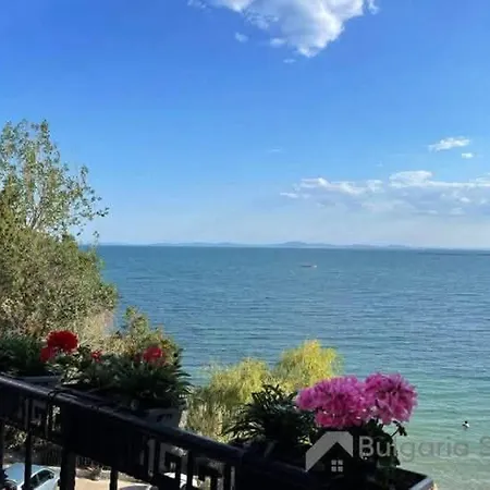 Daire Sunny Sunny Beach