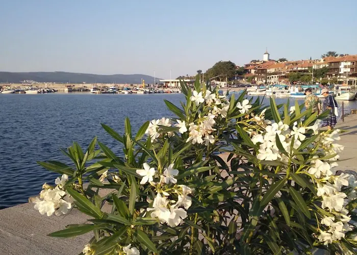 Sunny * Slantchev Briag