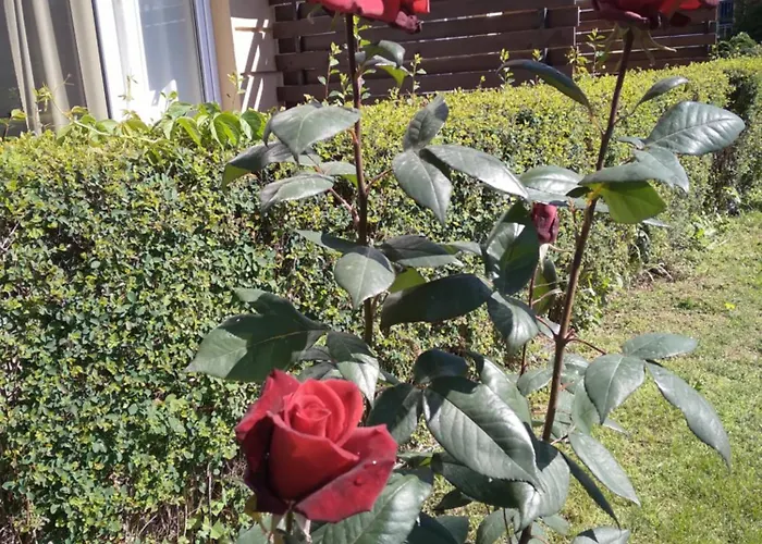 Sunny Slantchev Briag